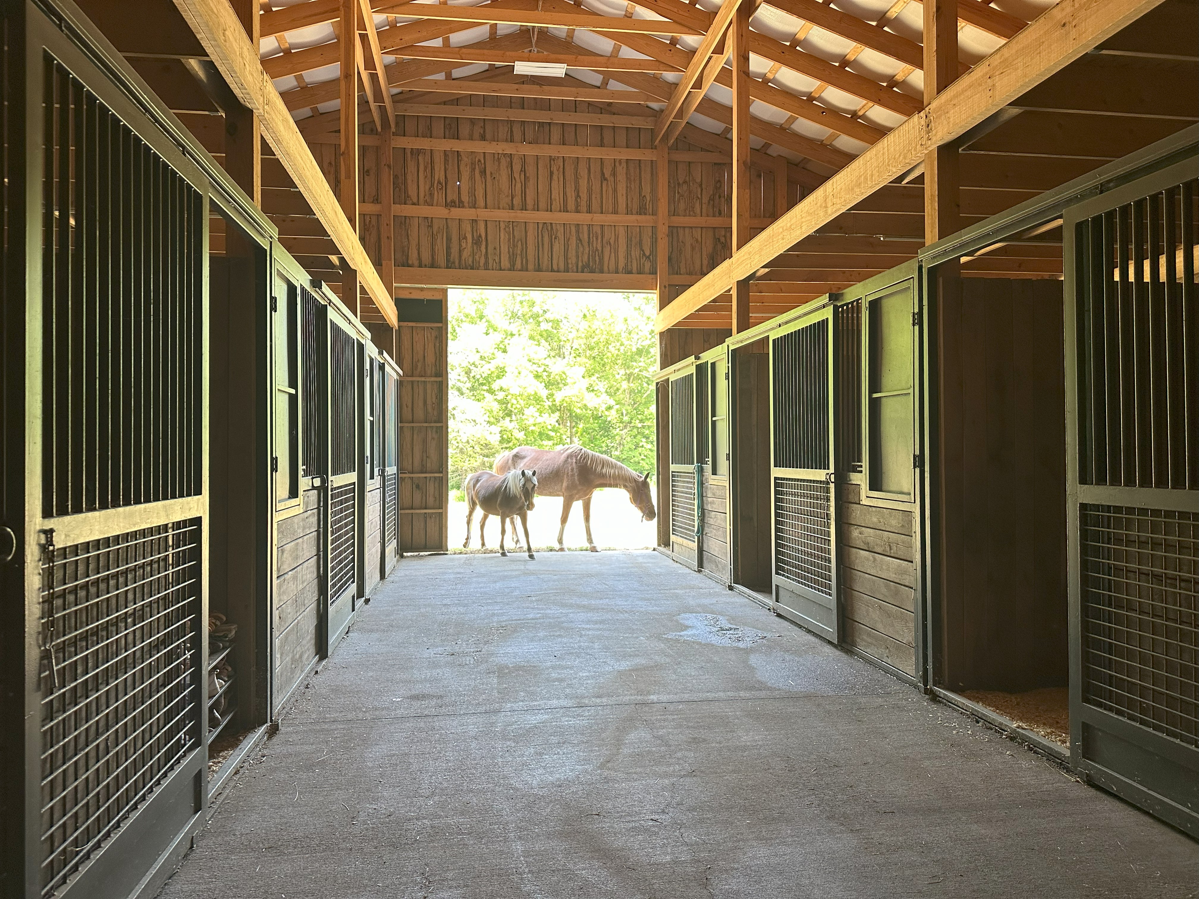 Welcome to our stable